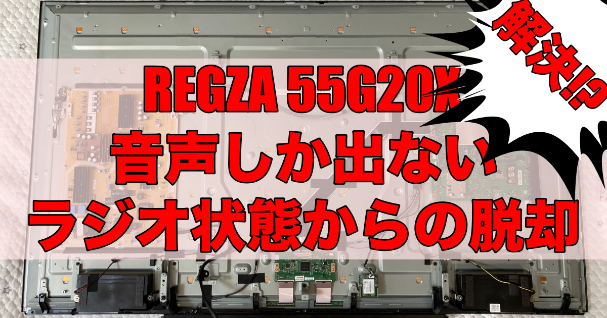 REGZA 55G20X 音声しか出ないラジオ状態からの脱却（解決策あり ...